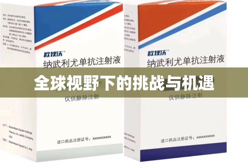 扬州全球视野下的挑战与机遇