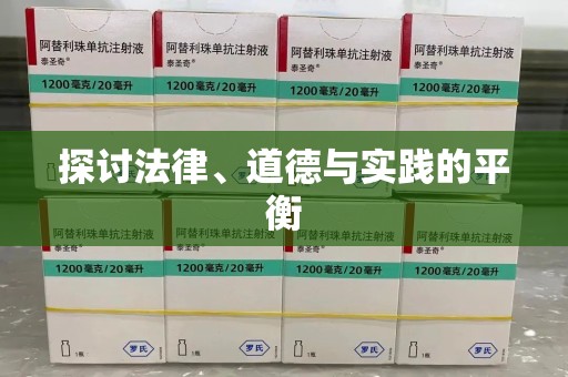 扬州探讨法律、道德与实践的平衡