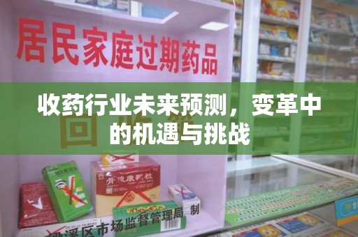 扬州收药行业未来预测，变革中的机遇与挑战