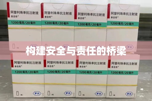 扬州构建安全与责任的桥梁