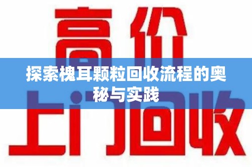 扬州探索槐耳颗粒回收流程的奥秘与实践