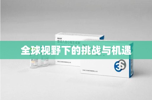 扬州全球视野下的挑战与机遇
