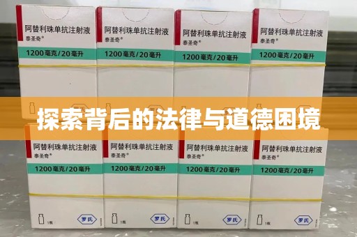 扬州探索背后的法律与道德困境